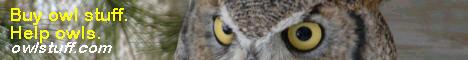 owlstuff.com banner with 'Alice' from the Houston Nature Center in MN