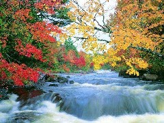 Autumn on a small river